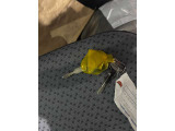 車によってはストックヤードに置いていることもありますので、ご来店の前に事前にご連絡いただけますと幸いです。