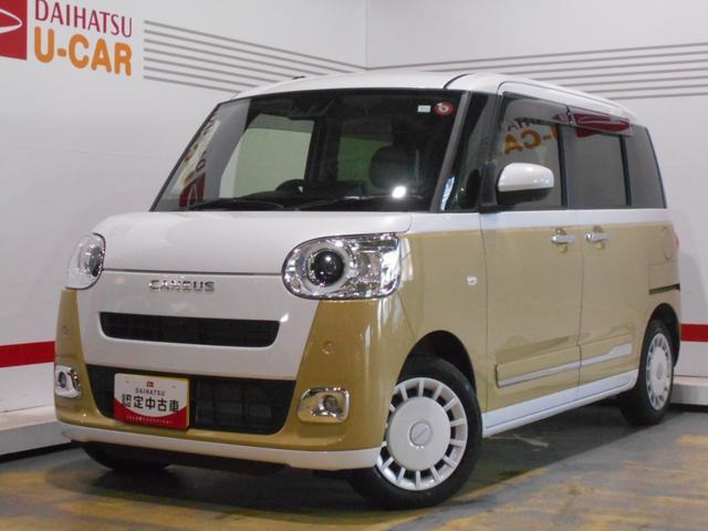 ムーヴキャンバス  ストライプス G