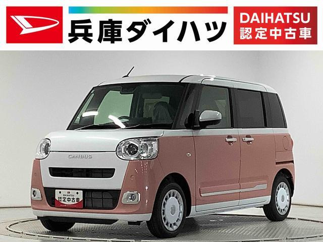 ムーヴキャンバス  ストライプス G