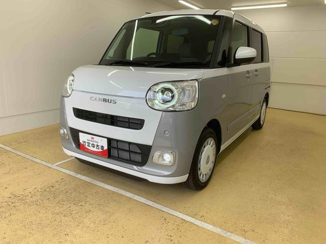 ムーヴキャンバス  ストライプス G