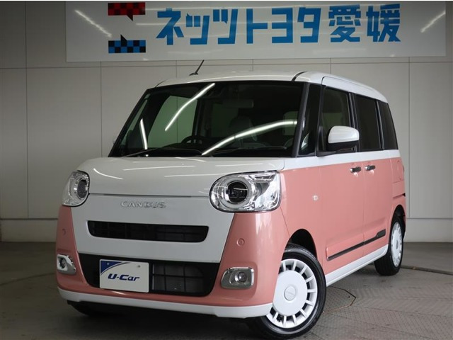 ムーヴキャンバス  ストライプス G