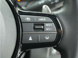 ◆アダプティブクルーズコントロール◆予め設定した車速内でクルマが自動的に加減速。前走車との適切な車間距離を維持しながら追従走行します。【LKAS】車線維持支援システムでステアリング操作を支援。