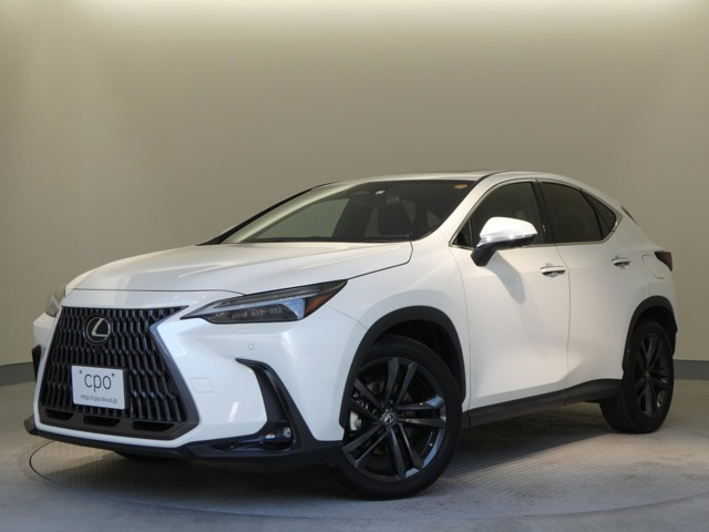 NX 250 バージョンL NX 250 バージョンL（5BA-AAZA20）