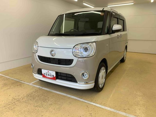 ムーヴキャンバス G メイクアップ VS SAIII 