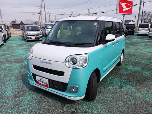 ムーヴキャンバス  ストライプス G