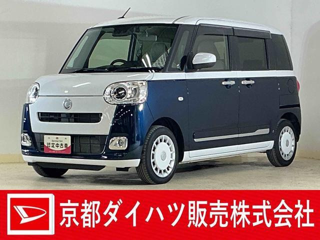 ムーヴキャンバス  ストライプス G