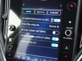 車両機能の各種設定も、センターディスプレイに大きく表示されます!
