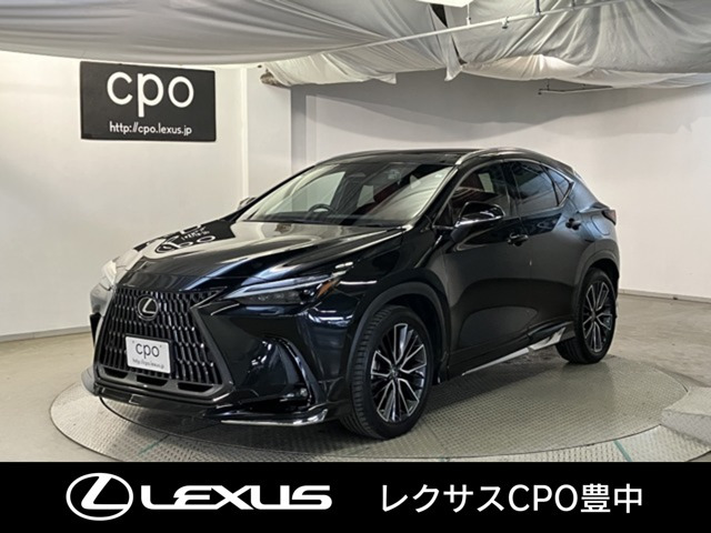 NX 350h バージョンL （6AA-AAZH20）