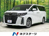 バックカメラ レーダークルーズ 両側電動ドア 禁煙車 AC100V電源