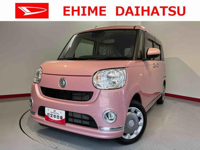 ムーヴキャンバス X リミテッド メイクアップ SAIII 