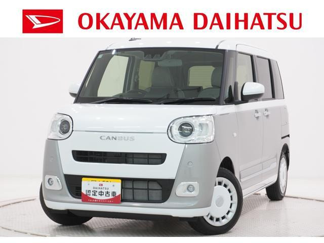 ムーヴキャンバス  ストライプス G