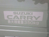 この量まで車に積載することができます。 沢山、積載できるので色んな使い方が出来ちゃいますね。