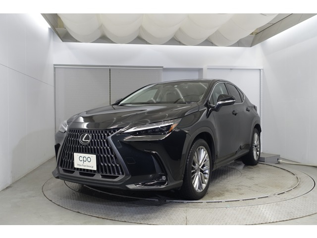 NX 350h バージョンL （6AA-AAZH20）