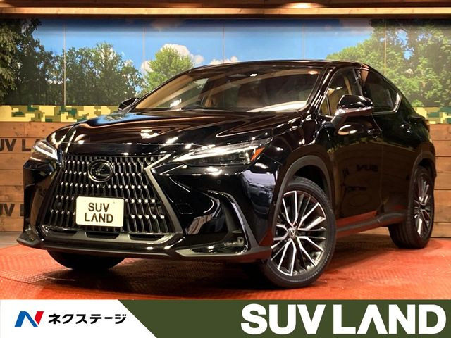 NX 350h バージョンL （6AA-AAZH20）