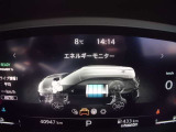 エネルギーフローも表示可能★