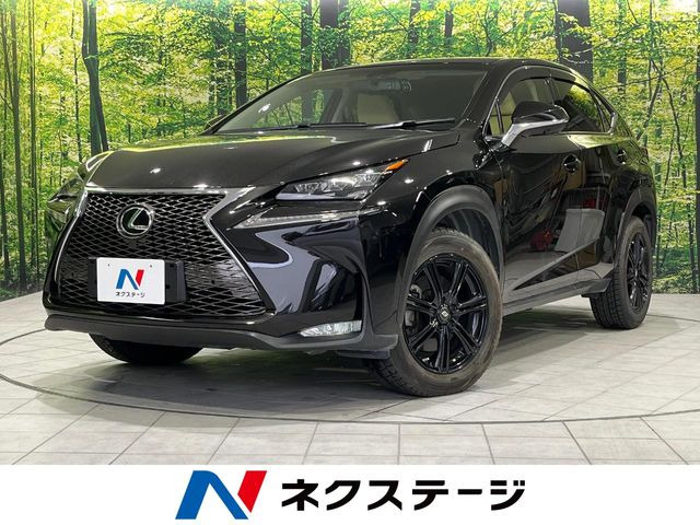 NX 200t Iパッケージ （DBA-AGZ15）