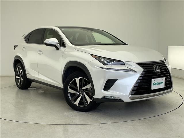 NX300h バージョンL本革シート サンルーフ