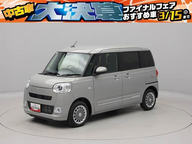 ムーヴキャンバス  セオリー G