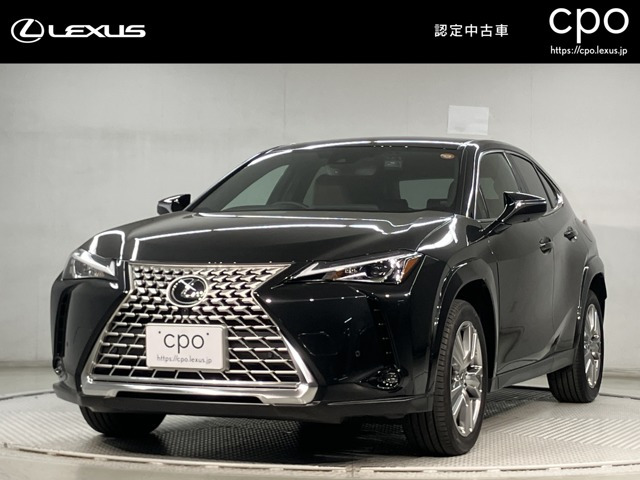 UX 250h グレイスフル エクスプローラー 