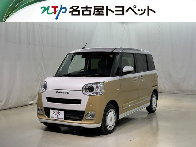 ムーヴキャンバス  ストライプス G