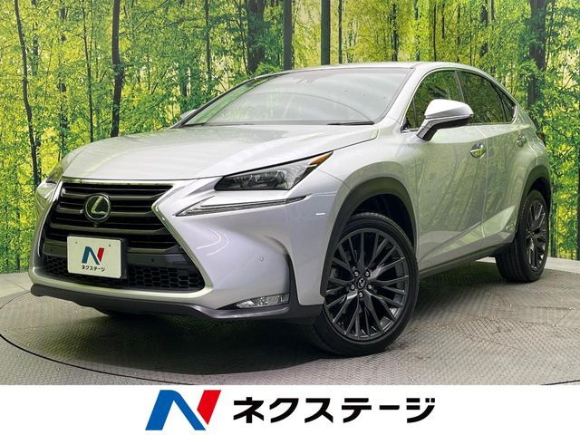 NX300h Iパッケージ