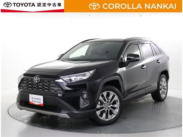 RAV4 2.0 G Zパッケージ 4WD（6BA-MXAA54）