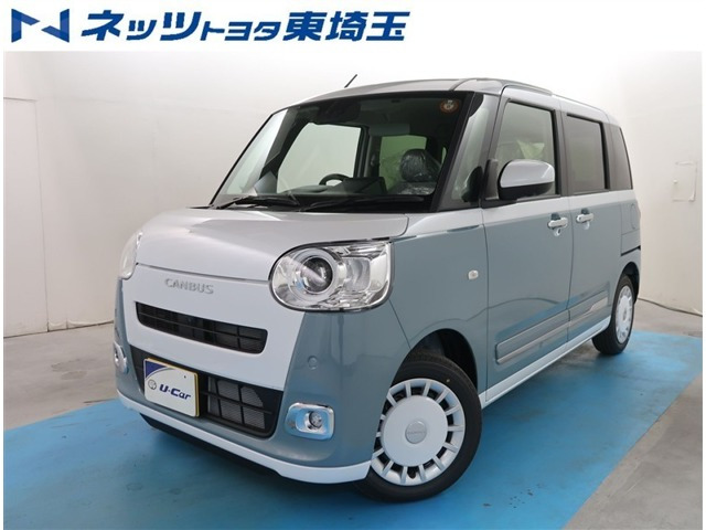 ムーヴキャンバス  ストライプス G