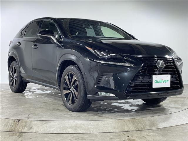 NX300 ブロンズ エディション本革シート サンルーフ