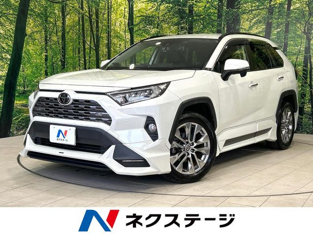 RAV4 2.0 G Zパッケージ 4WD （6BA-MXAA54）