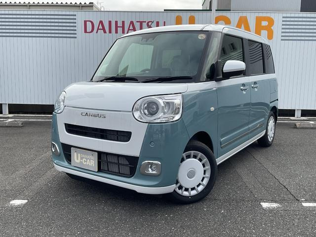 ムーヴキャンバス  ストライプス G