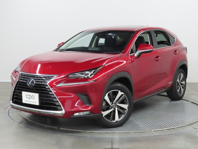 NX 300h Iパッケージ 