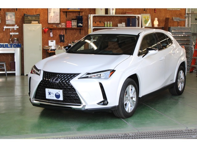 UX 250h バージョンC 