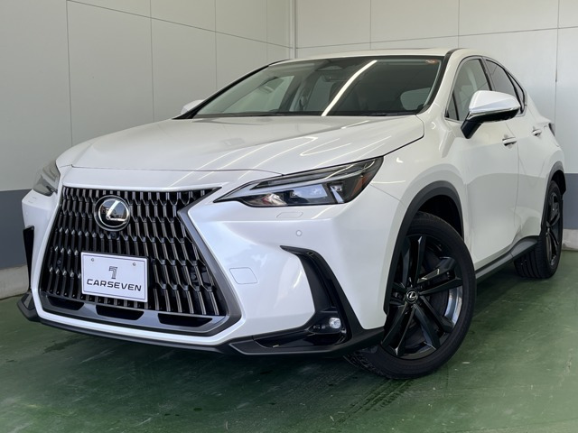 NX 350h バージョンL （6AA-AAZH20）