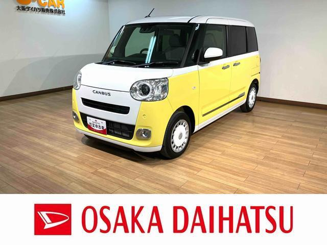 ムーヴキャンバス  ストライプス G