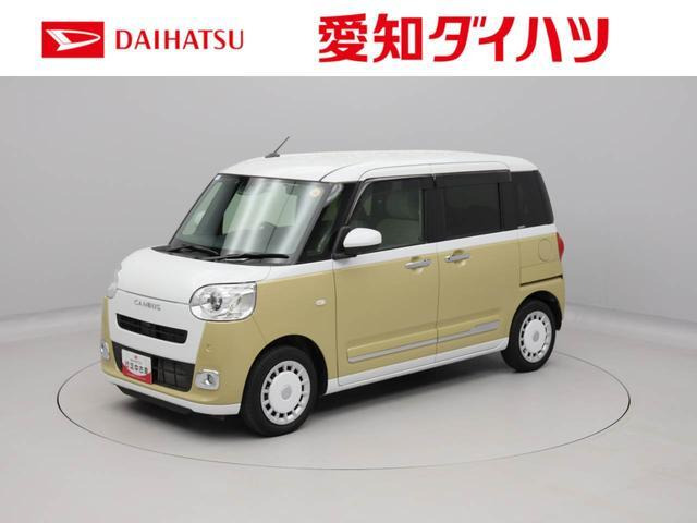 ムーヴキャンバス  ストライプス G