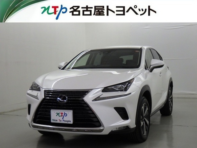 NX 300h Iパッケージ