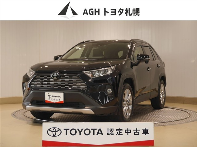 RAV4 2.0 G Zパッケージ 4WD（6BA-MXAA54）