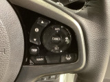 クルーズコントロールを装備しています。高速道路などで一定の速度で走ってくれるので運転が楽ですよ!速度を設定できますので、スピードの出しすぎにも注意できます。