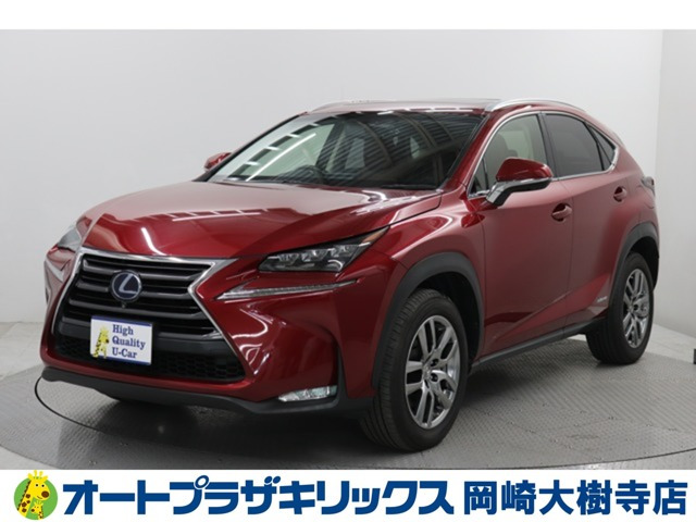 NX 300h Iパッケージ 