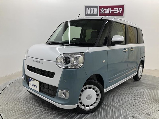 ムーヴキャンバス  ストライプス G