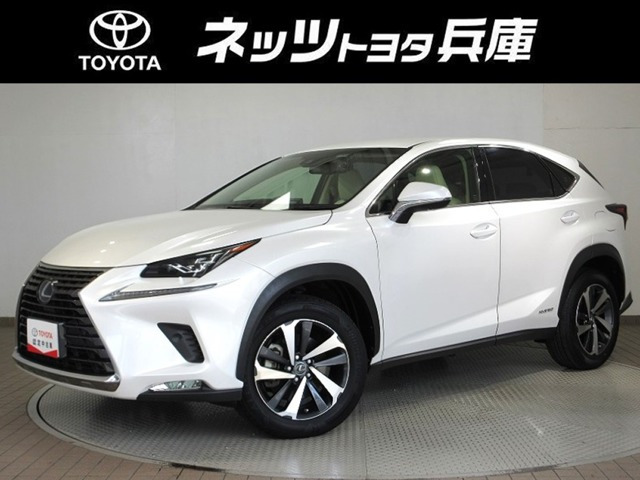 NX 300h Iパッケージ 