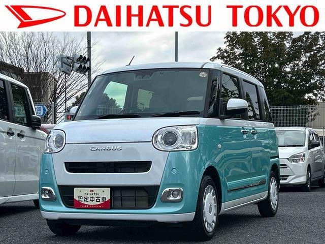 ムーヴキャンバス  ストライプス G