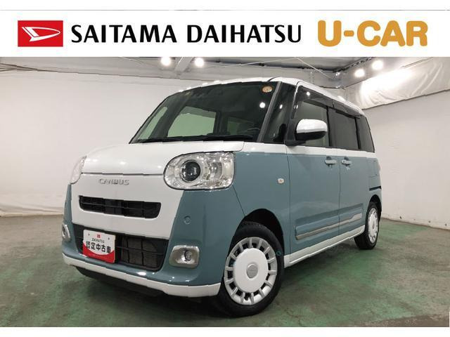 ムーヴキャンバス  ストライプス G