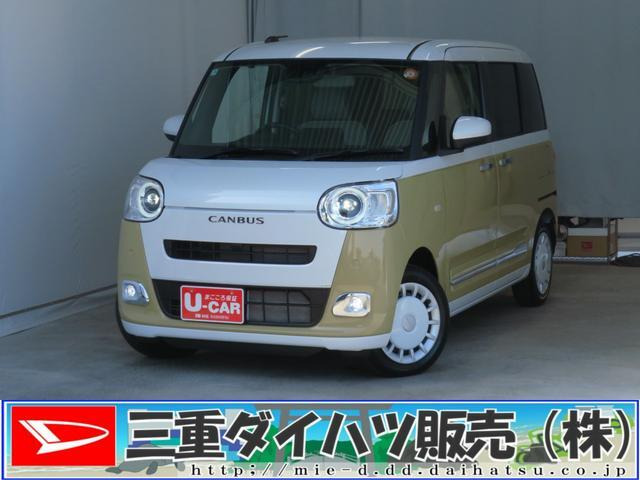 ムーヴキャンバス  ストライプス G