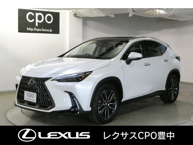NX 350h バージョンL （6AA-AAZH20）