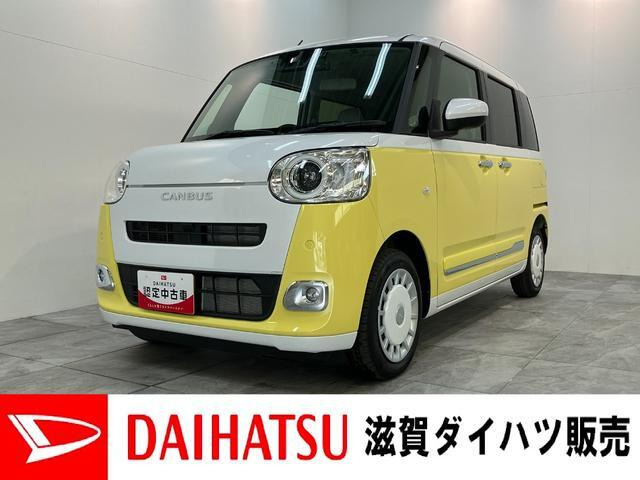 ムーヴキャンバス  ストライプス G