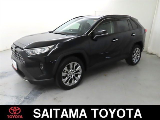RAV4 2.0 G Zパッケージ 4WD（6BA-MXAA54）