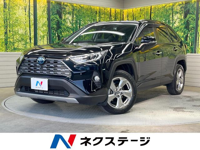 RAV4 2.5 ハイブリッド G E-Four 4WD （6AA-AXAH54）