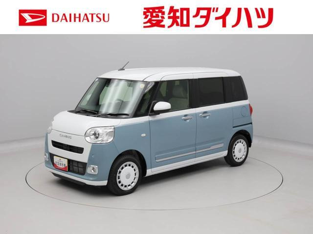 ムーヴキャンバス  ストライプス G