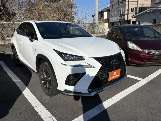 NX 300h Fスポーツ （6AA-AYZ10）